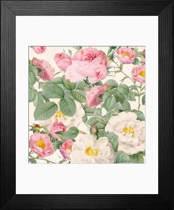Framed Print : Rose Flowers. Floral design in a square format Framed Print : Rose Flowers. Floral design in a square format