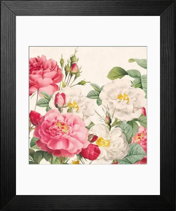Framed Print : Rose Flowers. Floral design in a square format Framed Print : Rose Flowers. Floral design in a square format