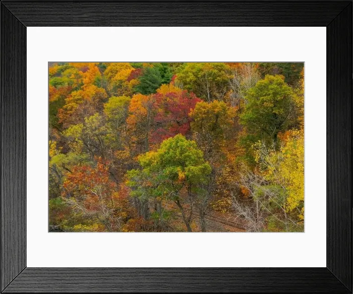 Framed Print : Closeup aerial image of colorful fall foliage looking down Framed Print : Closeup aerial image of colorful fall foliage looking down