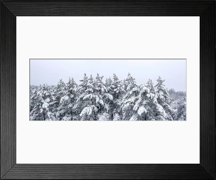 Framed Print : aerial panoramic view of snow-covered fir treetops in the winter forest