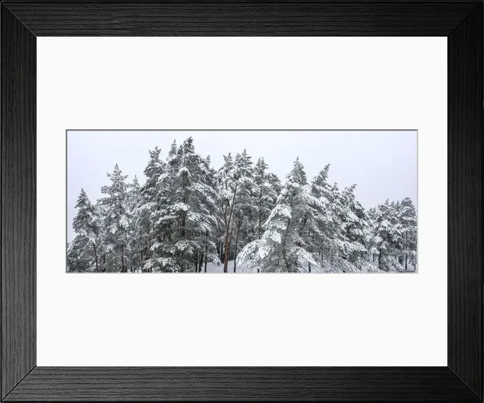 Framed Print : beautiful winter landscape with snow covered trees. panoramic aerial photography with drone