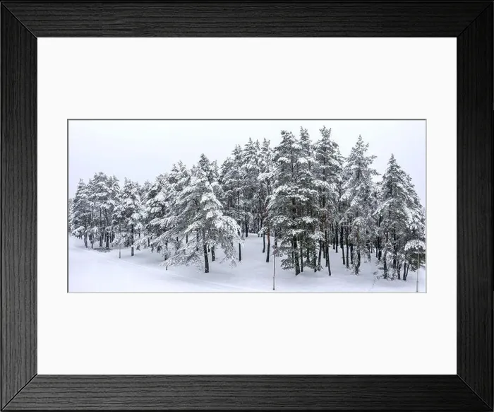 Framed Print : panoramic view of the snowy park with white trees in the snow. aerial drone photo Framed Print : panoramic view of the snowy park with white trees in the snow. aerial drone photo