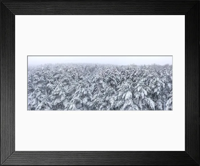Framed Print : frozen winter forest in foggy day with fir-trees covered by snow. wide aerial panorama Framed Print : frozen winter forest in foggy day with fir-trees covered by snow. wide aerial panorama