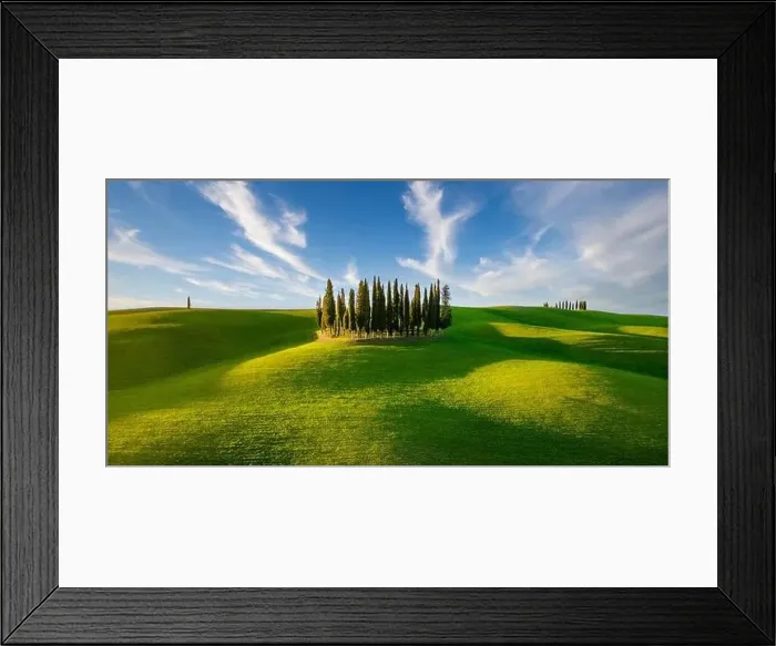 Framed Print : Group of Italian cypresses near San Quirico dOrcia Framed Print : Group of Italian cypresses near San Quirico dOrcia