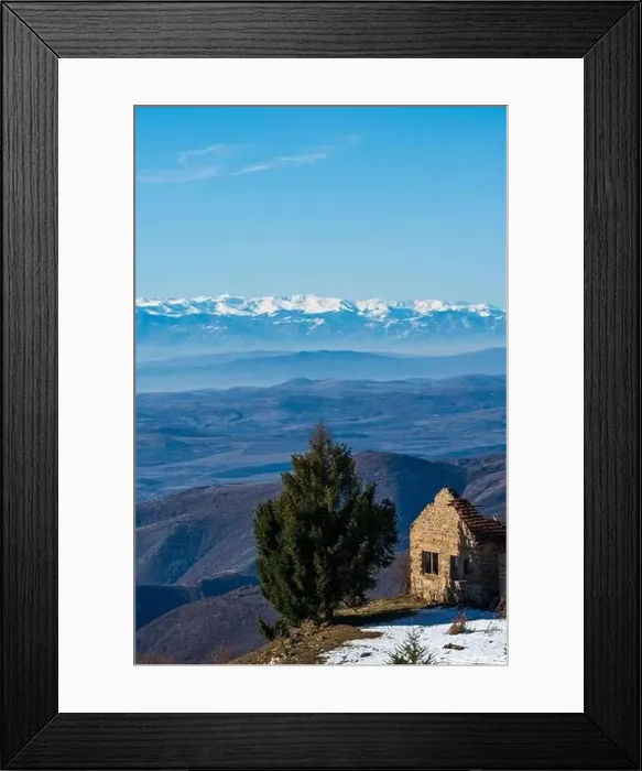 Framed Print : The evergreen tree and old abandoned house Framed Print : The evergreen tree and old abandoned house