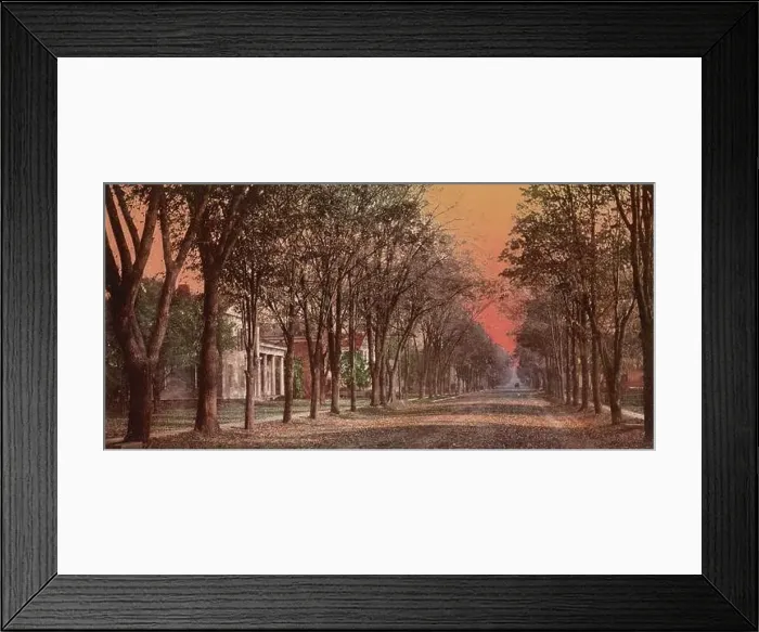 Framed Print : Elizabeth Street, Dansville, Livingston County, New York 1900 Framed Print : Elizabeth Street, Dansville, Livingston County, New York 1900