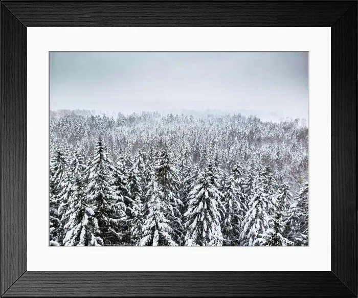 Framed Print : aerial view of forest covered with snow, bird's eye view Framed Print : aerial view of forest covered with snow, bird's eye view