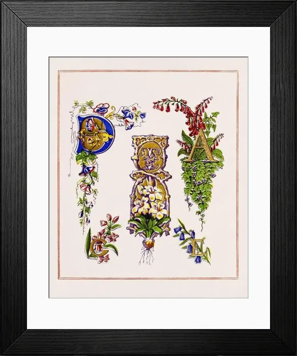 Framed Print : Medieval Alphabet initials Framed Print : Medieval Alphabet initials