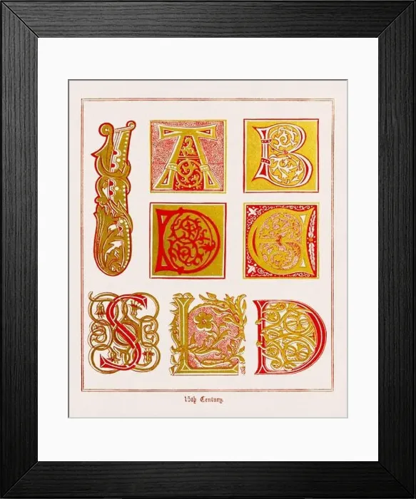 Framed Print : Medieval Alphabet initials Framed Print : Medieval Alphabet initials
