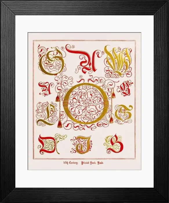 Framed Print : Medieval Alphabet initials Framed Print : Medieval Alphabet initials