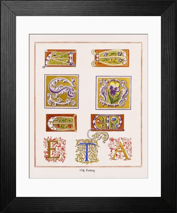 Framed Print : Medieval Alphabet initials Framed Print : Medieval Alphabet initials
