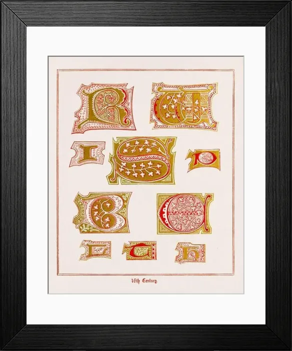 Framed Print : Medieval Alphabet initials Framed Print : Medieval Alphabet initials