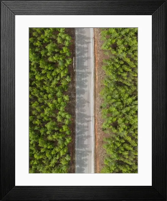 Framed Print : Top down view of road through forest at sunrise Framed Print : Top down view of road through forest at sunrise