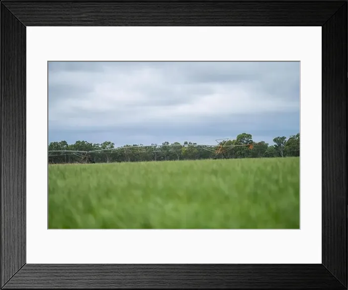 Framed Print : Cattle ranch farming landscape Framed Print : Cattle ranch farming landscape