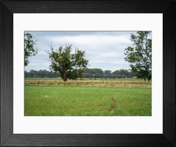 Framed Print : Cattle ranch farming landscape Framed Print : Cattle ranch farming landscape