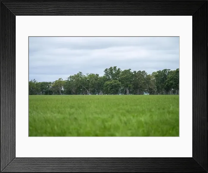 Framed Print : Cattle ranch farming landscape Framed Print : Cattle ranch farming landscape