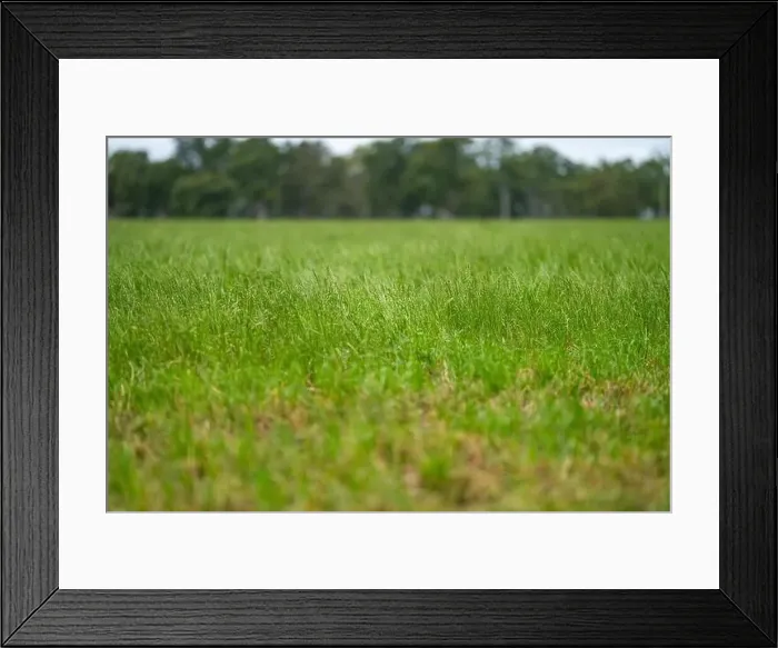 Framed Print : Cattle ranch farming landscape Framed Print : Cattle ranch farming landscape
