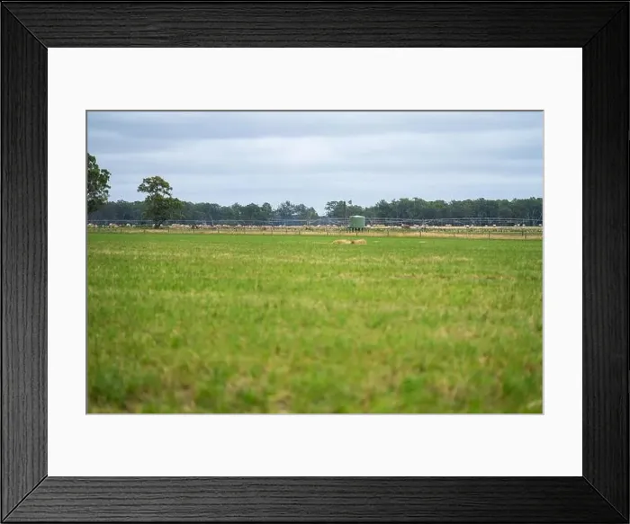 Framed Print : Cattle ranch farming landscape Framed Print : Cattle ranch farming landscape