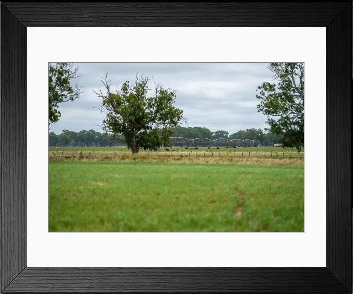 Framed Print : Cattle ranch farming landscape Framed Print : Cattle ranch farming landscape