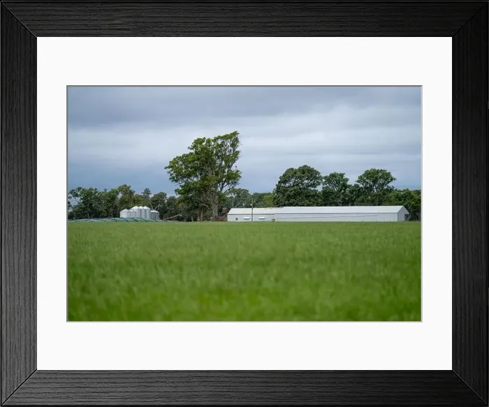 Framed Print : Cattle ranch farming landscape Framed Print : Cattle ranch farming landscape