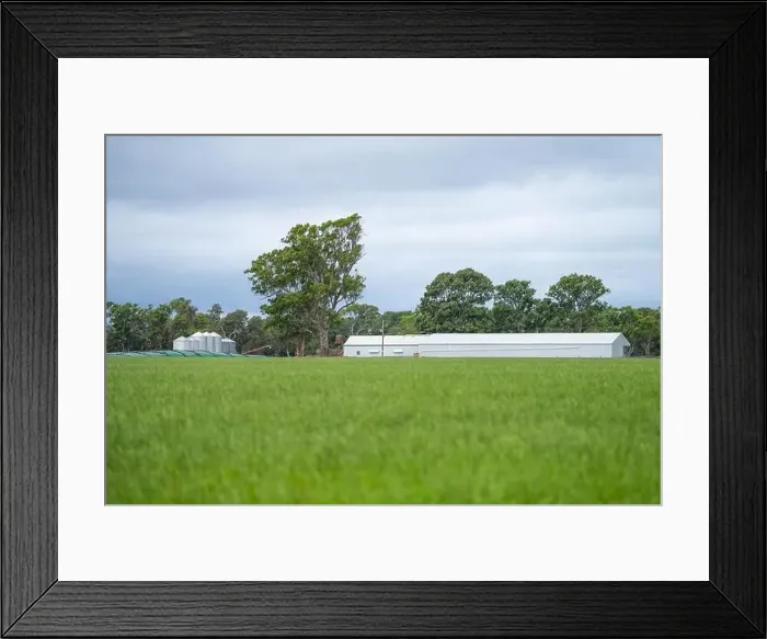 Framed Print : Cattle ranch farming landscape Framed Print : Cattle ranch farming landscape