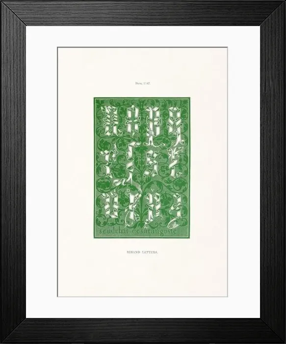 Framed Print : Medieval Alphabet initials Framed Print : Medieval Alphabet initials