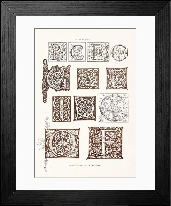 Framed Print : Medieval Alphabet initials Framed Print : Medieval Alphabet initials