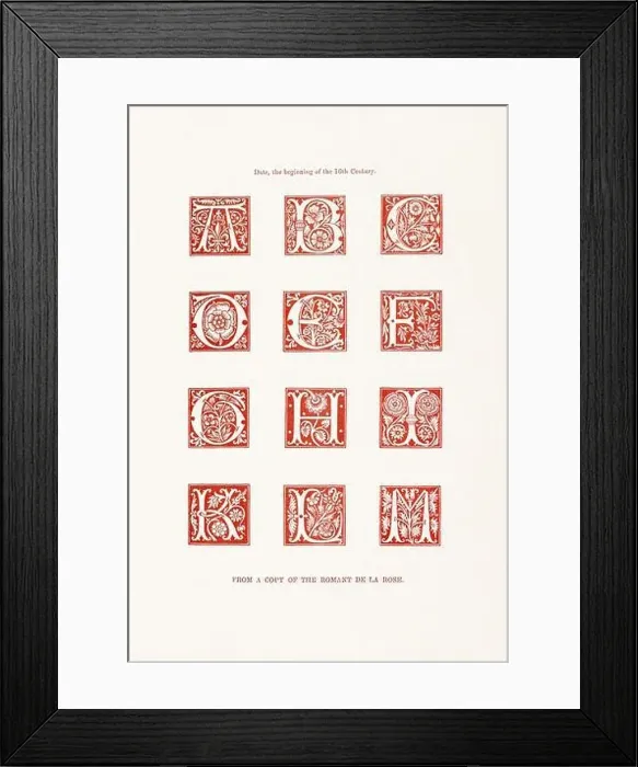 Framed Print : Medieval Alphabet initials Framed Print : Medieval Alphabet initials