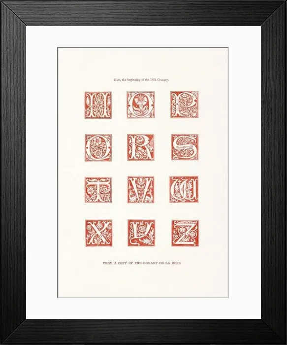 Framed Print : Medieval Alphabet initials Framed Print : Medieval Alphabet initials