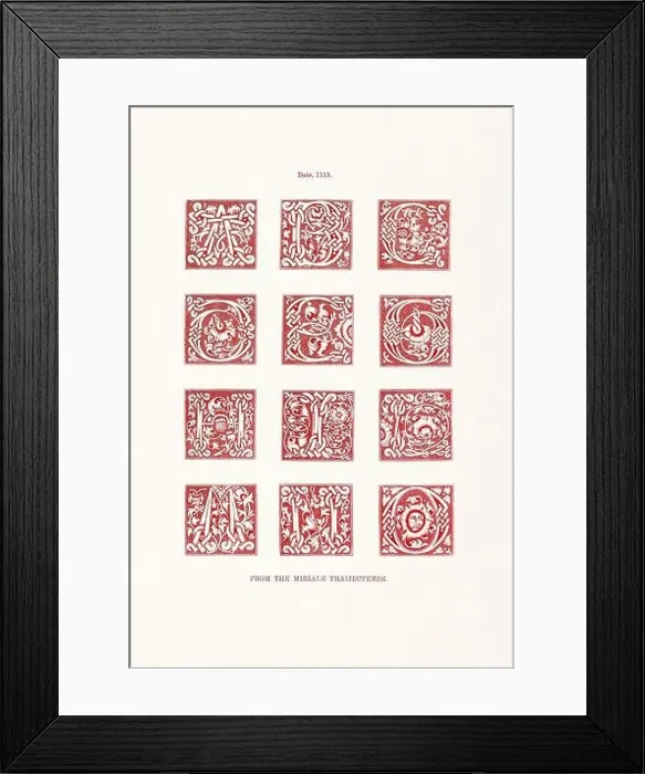 Framed Print : Medieval Alphabet initials Framed Print : Medieval Alphabet initials