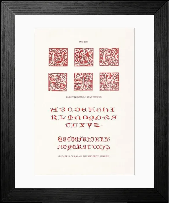 Framed Print : Medieval Alphabet initials Framed Print : Medieval Alphabet initials