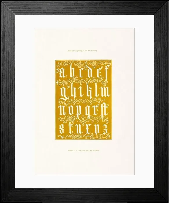 Framed Print : Medieval Alphabet initials Framed Print : Medieval Alphabet initials