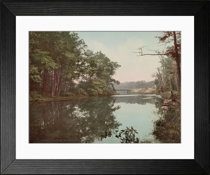 Framed Print : Bronx River in Bronx Park, New York 1901 Framed Print : Bronx River in Bronx Park, New York 1901
