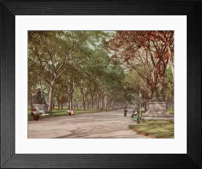 Framed Print : Lower end of mall, Central Park, New York City 1901 Framed Print : Lower end of mall, Central Park, New York City 1901