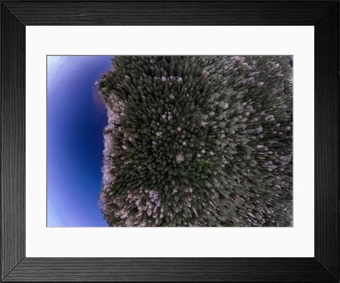 Framed Print : Lake Lygnern from up high Framed Print : Lake Lygnern from up high