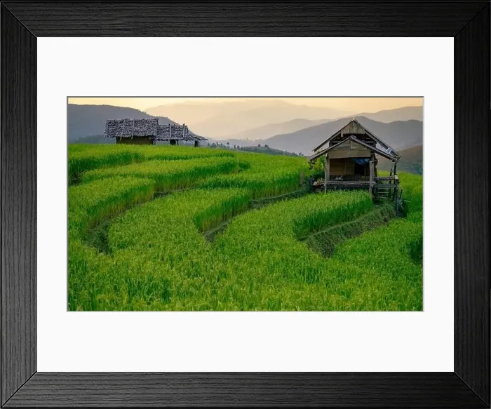 Framed Print : Landscape of rice terrace and hut with mountain range background and beautiful sunrise sky Framed Print : Landscape of rice terrace and hut with mountain range background and beautiful sunrise sky