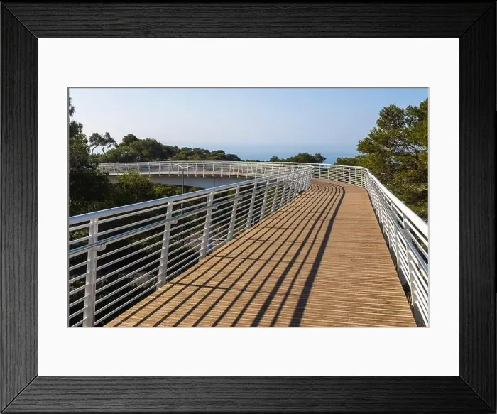 Framed Print : A modern pedestrian bridge over the highway from the Technion University to the nature reserve Framed Print : A modern pedestrian bridge over the highway from the Technion University to the nature reserve
