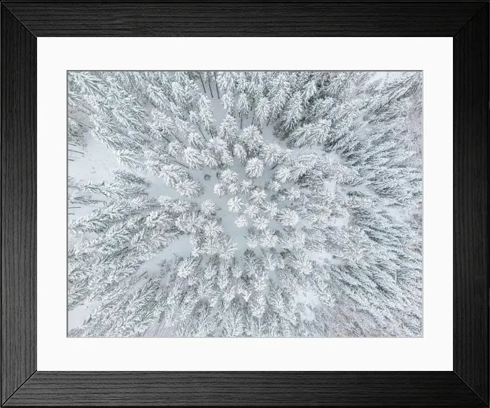 Framed Print : aerial view of forest covered with snow, bird's eye view Framed Print : aerial view of forest covered with snow, bird's eye view