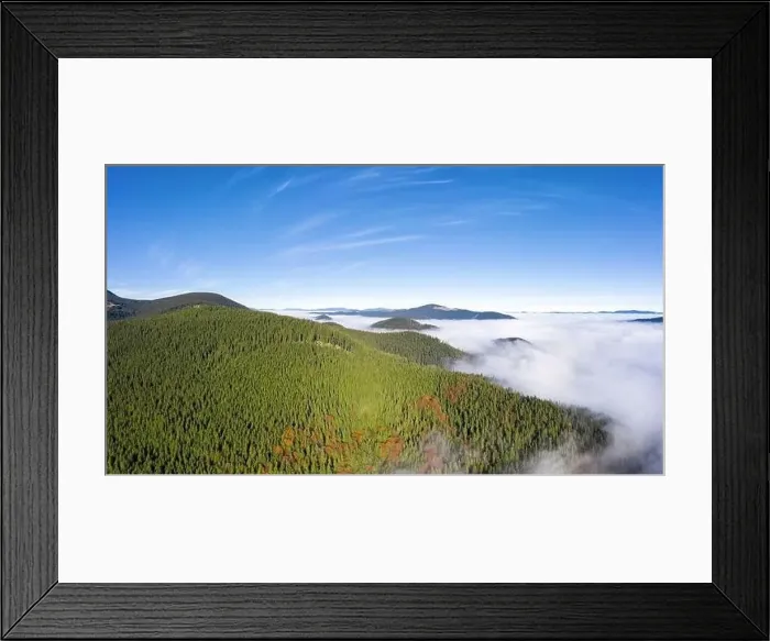 Framed Print : Beautiful landscape of Carpathian mountains covered with green forest and morning fog in the valley from aerial view Framed Print : Beautiful landscape of Carpathian mountains covered with green forest and morning fog in the valley from aerial view