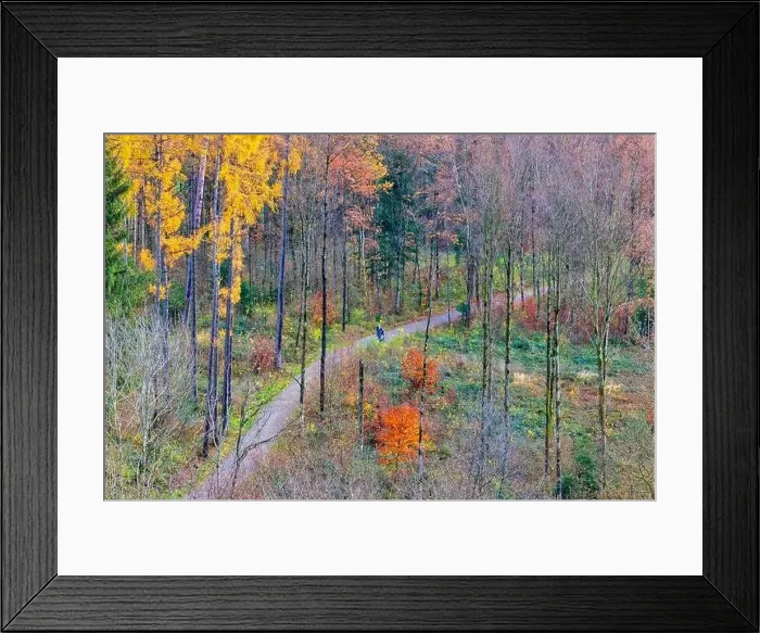Framed Print : Aerial view of morning walk in the city of Zurich, Switzerland Framed Print : Aerial view of morning walk in the city of Zurich, Switzerland