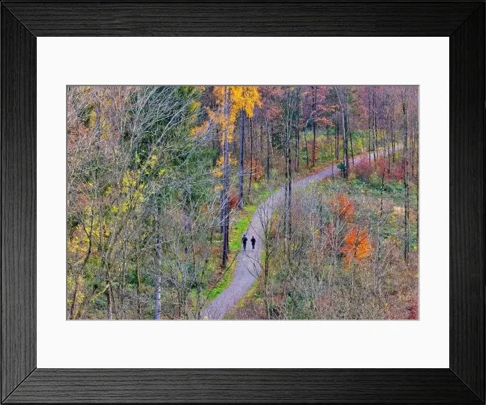 Framed Print : Aerial view of morning walk in the city of Zurich, Switzerland Framed Print : Aerial view of morning walk in the city of Zurich, Switzerland