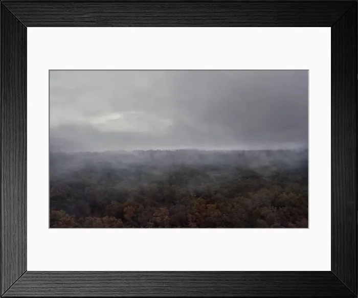 Framed Print : Mystical foggy forest in the autumn morning with cloudy sky Framed Print : Mystical foggy forest in the autumn morning with cloudy sky
