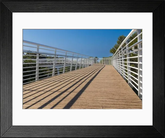Framed Print : A modern pedestrian bridge over the highway from the Technion University to the nature reserve Framed Print : A modern pedestrian bridge over the highway from the Technion University to the nature reserve