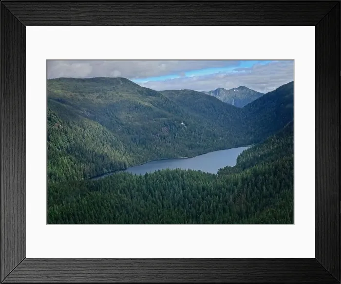 Framed Print : Aerial view on the wilderness in Alaska with trees and a river Framed Print : Aerial view on the wilderness in Alaska with trees and a river