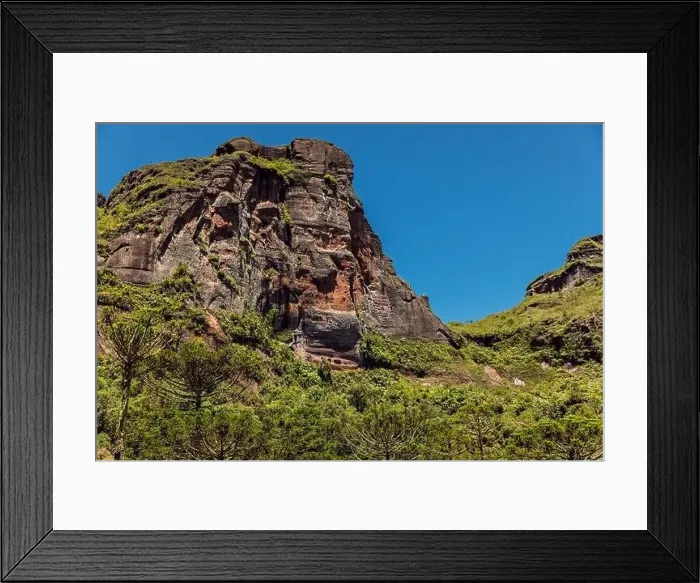 Framed Print : Scenic Morro dos Cabritos rock or canyon with araucaria trees on sunny day in Santa Catarina, Brazil