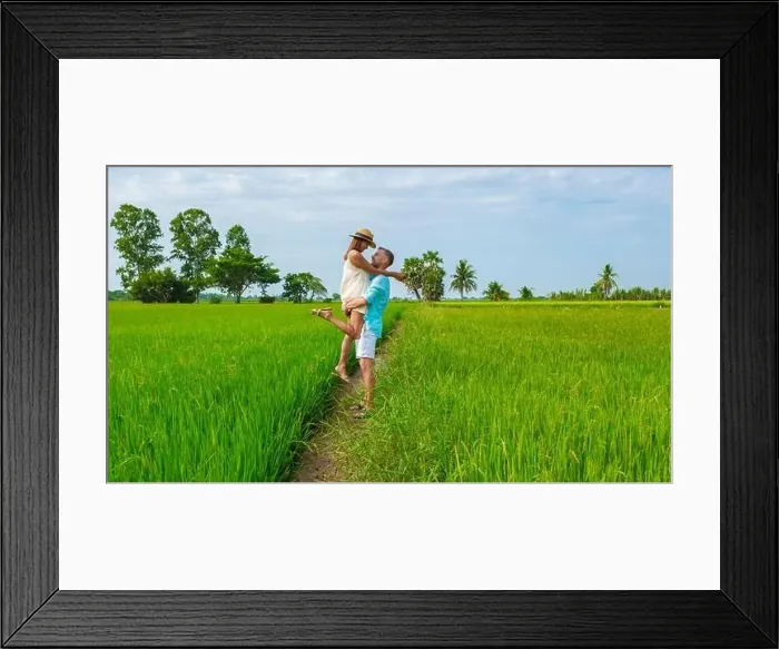 Framed Print : Green rice paddy fields in Central Thailand Suphanburi region Framed Print : Green rice paddy fields in Central Thailand Suphanburi region