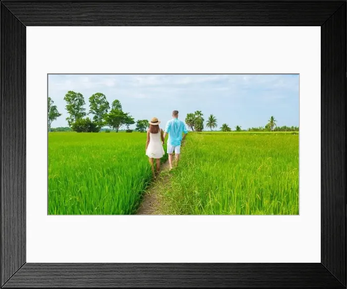 Framed Print : Green rice paddy fields in Central Thailand Suphanburi region