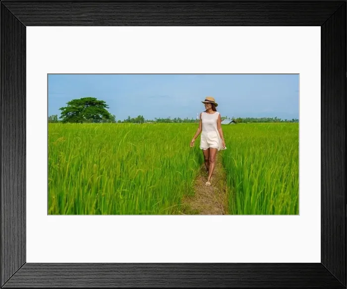 Framed Print : Green rice paddy fields in Central Thailand Suphanburi region Framed Print : Green rice paddy fields in Central Thailand Suphanburi region
