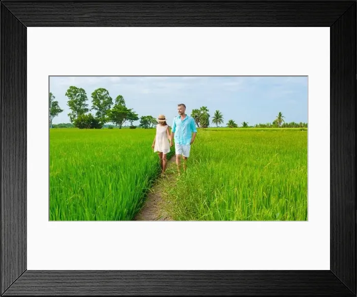 Framed Print : Green rice paddy fields in Central Thailand Suphanburi region Framed Print : Green rice paddy fields in Central Thailand Suphanburi region