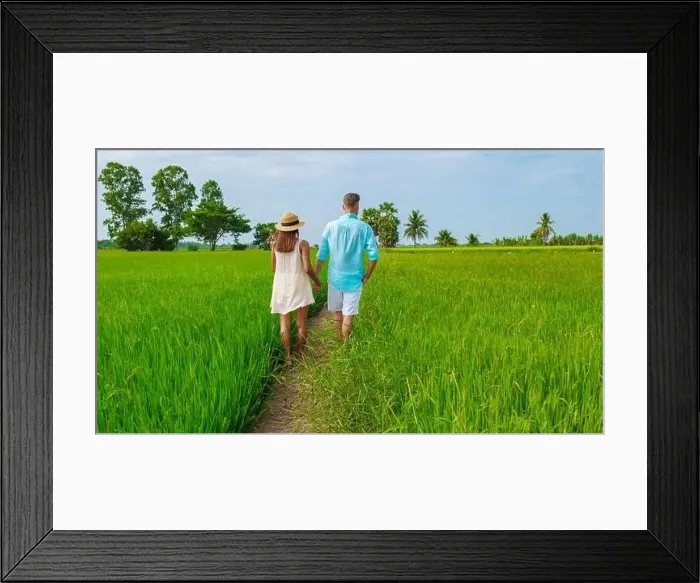 Framed Print : Green rice paddy fields in Central Thailand Suphanburi region Framed Print : Green rice paddy fields in Central Thailand Suphanburi region